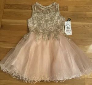 Girls NWT Special Ocassion Rare Editions Princess Dress Blush Size 12 Embroided - Picture 1 of 4