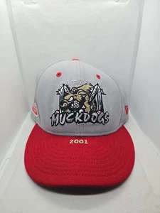 Vtg Batavia Muckdogs 2001 New Era 7 1/8 Hat 100 Years MiLB Homestown Collection  - Picture 1 of 11