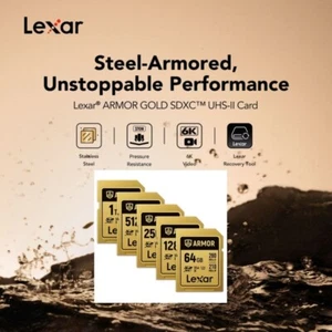 Lexar Professional ARMOR GOLD 64GB 128GB 256GB 512GB 1TB SDHC SDXC SD Card V60 - Picture 1 of 23