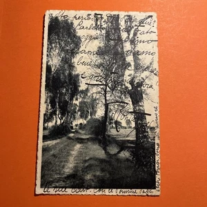 CARTOLINA PICCOLA BIANCO E NERO COLLEZIONE B&G BOLOGNA - Foto 1 di 2