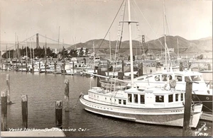 Postal sin usar YACHT HARBOR San Francisco, California CA RPPC - Imagen 1 de 2