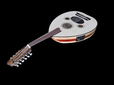 Turco Hecho a Mano Pro Oud (Ud) Especial con Estuche Suave, Totalmente Nuevo Foto 1 de 4