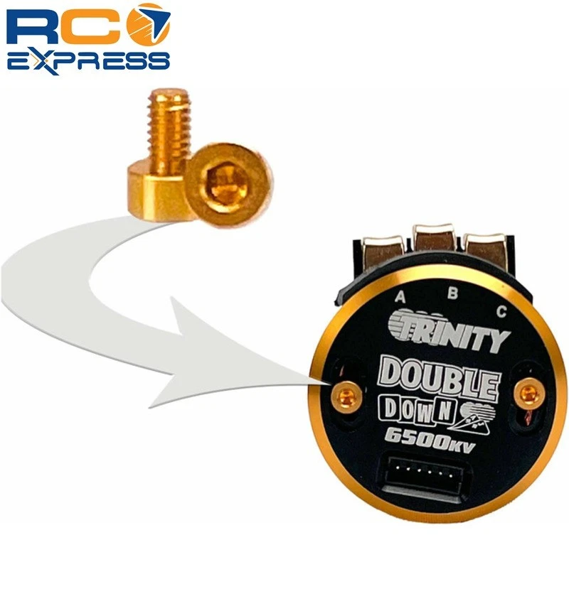 Trinity Aluminum Timing Screws Non-Magnetic (2) (Gold)-TEP2115 TEP2115 - Image 1 of 1