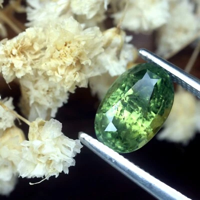 Exceptional Certified 1.65ct Natural Green Sapphire Australian Oval 7.8x5mm - Image 1 of 2