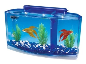 Fish Tank Deluxe Triple Betta Bow Aquarium Tank Divider With Filtration System - Picture 1 of 5