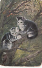 B78948 Animals Animaux Cats In The Tree Chats  Front/Back Image