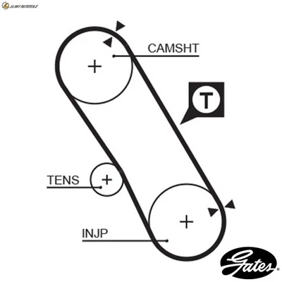 ZAHNRIEMEN 5061XS FÜR NISSAN AVENIR LANGLEY/III PRIMERA/Hatchback/Break SUNNY - Image 1 of 4