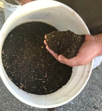 Horse Manure , Run thru a Shredder 1 Gallon Fluffy dry no smell Garden Ready !! 