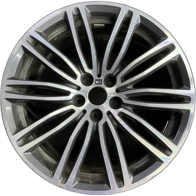 Bmw 19x8 530e 530i 540i M550i GREY FRONT Wheel OEM Rim Factory Stock 2017-2020 - Image 1 of 4