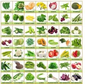 Combo de semillas de verduras y frutas TreegoArt para hogar y jardín - Pack de 50 - Imagen 1 de 1