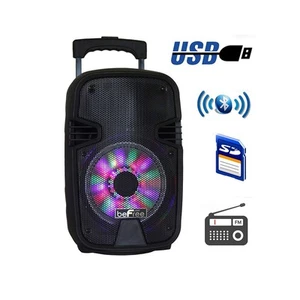 beFree Sound 8 Inch Bluetooth Portable Party Speaker with USB, SD and Reactive L - Picture 1 of 1