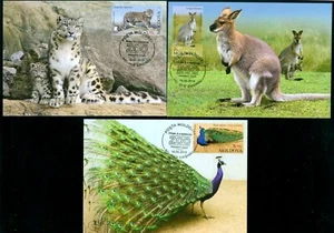 2013 Snow Leopard,Bennett's Wallaby,Indian Peafowl,Chisinau,Moldova,831maxi card - Picture 1 of 1