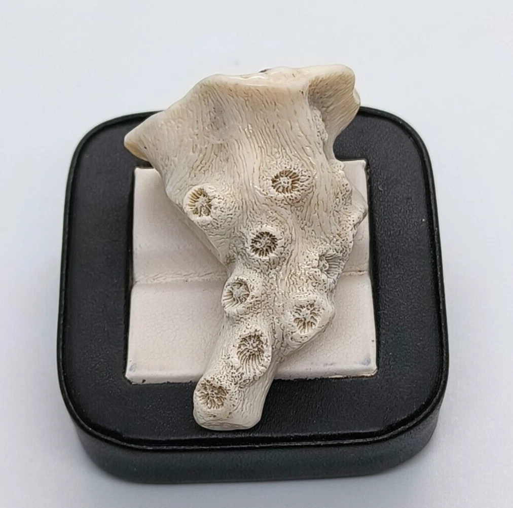 在庫処分　天然珊瑚彫刻壊れ　約215g 在庫処分 天然珊瑚彫刻壊れ 約215g - メルカリ