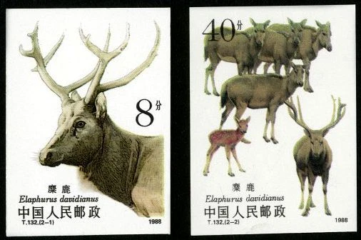 A deer / 鹿 Chinese Deer Stamps for sale | eBay