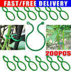 200x Plant  8-Shaped Clips Supporting Fixing Garden Vegetables Fruits Climbing