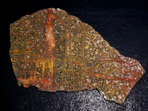 Leopard Skin  Jasper slab -7 5/8 " x  4 3/4" rough  for cabbing-display - Picture 1 of 3