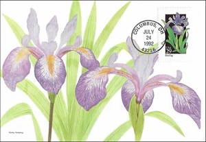 Blue Flag Iris Versicolor Botany Wildflower US Mint Maxi FDC Card 1992 - Picture 1 of 1
