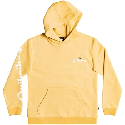 Quiksilver Boys Stir It Up Pullover Sudadera con Capucha - Ratán - XL Foto 1 de 2