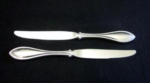 Oneida Stainless AMERICAN HARMONY Dinner Knife Knives Set of Two (2) Gently Used - Picture 1 of 1