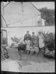 Plate Glass Photo Antique Negative Black and White 9x12 CM Family Dogs France - Photo 1 sur 2