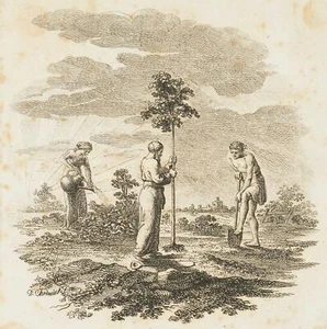 D. CHODOWIECKI (*1726), Titel-Vignette zu Sack's Predigten, 1781, Rad. - Picture 1 of 4