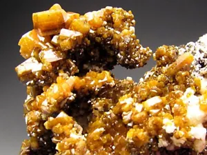 Wulfenit Erucpion-Ahumada Mine Los Lamentos Berge Chihuahua Mexiko - Bild 1 von 9