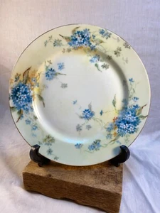 Vintage Limoges  Plate Blue Flowers 8.5"  Diameter Limoges - Picture 1 of 4