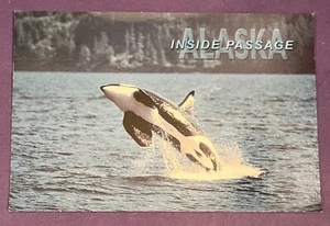 Killer Whale Breaching Inside Passage Alaska Postcard Scott Liebold Photo - Picture 1 of 2