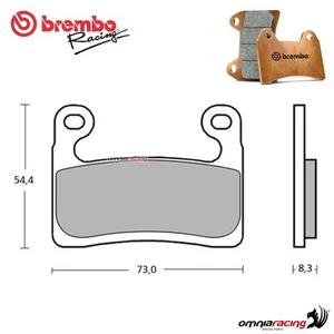 Par de pastillas de freno Brembo Racing Z03 BMW S1000RR 2019-2024 - Imagen 1 de 5
