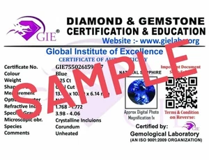 Zertifikat GIE - Bild 1 von 1