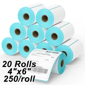 20 Rotoli 4"x6" Spedizione Termica Diretta Etichette Vuote per Zebra e Avvolgibile 250/Roll - Foto 1 di 11