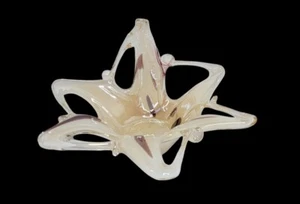 Vintage Murano Lavorazione Gold Maroon Art Glass Starfish Bowl Hand Blown 11” - Picture 1 of 8