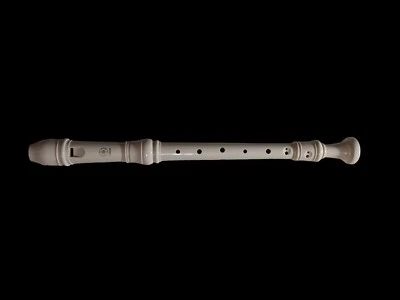 Yamaha Alto Recorder YRA-28B III made in Japan 🇯🇵 - Image 1 of 4