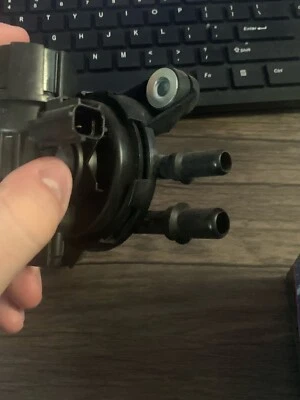 Válvula de purga Wells PV320 Ford Explorer (96-01) - Imagem 1 de 4