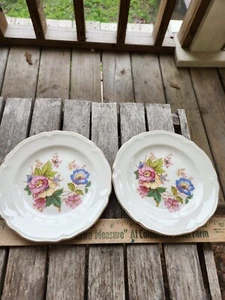 2 Vintage Edwin Knowles Whitney Brotteller 6" - Bild 1 von 4