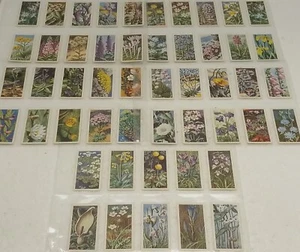 Vintage Retro full set tea trading Cards 1961 Brooke Bond wild flowers 50 - Picture 1 of 10