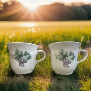 Tazza da caffè/tè Pfaltzgraff Grapevine tazza uva viola set da 2 🍇 - Foto 1 di 11