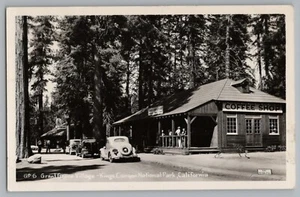 Foto postal real del Parque Nacional Kings Canyon California Grant Grove RPPC 1950 - Imagen 1 de 2