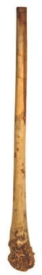   Handmade Didgeridoo Eucalyptus (Root)  - Image 1 of 2
