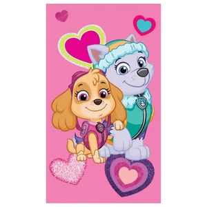 Paw Patrol Kinderhandtuch 30x50 Kinder Handtuch klein Gästehandtuch Waschlappen - Bild 1 von 3