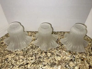 3 Frosted Glass Lamp Shade Cover 2" Fitter Tulip Ruffled Edge Ceiling Fan Globes - Picture 1 of 12