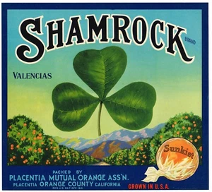 ORIGINAL KLEEBLATT ORANGE KISTE ETIKETT PLACENTIA IRISH LUCK 1930ER VINTAGE VALENCIA - Bild 1 von 1