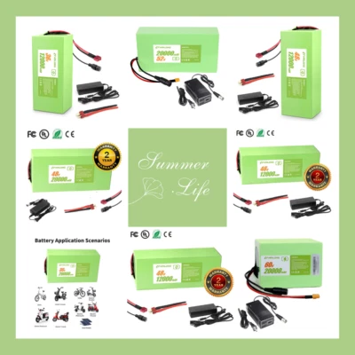 Battery 24V 36V 48V 52V 60V Electric bike li-ion Battery For 200W-1000W EBike - Image 1 of 4