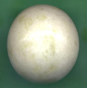 51 mm schöne gelbe Jade Kugel + Ständer // Kugel / Reiki / Kristallheilung (12D) - Bild 1 von 4