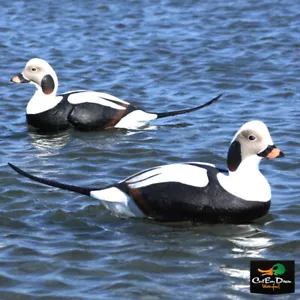 AVERY OUTDOORS GHG COMMERCIAL GRADE LONG-TAILED DUCK DECOYS - 6 PACK - Picture 1 of 4