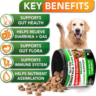 Probiotics for Dogs Digestive Enzymes for Good Health Itchy Skin 120 Chews fit - Image 1 of 4