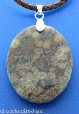 Collar Unisex Tortuga Jaspe Chamán Cordón de Cuero Artesanal Reiki Sanación Joyería Foto 1 de 3