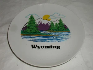 PLATO DE RECUERDO WYOMING 8 1/4 - Imagen 1 de 3