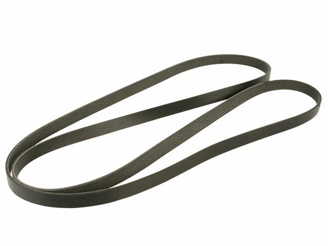 Cinturón multi costilla para Ford E150 Econoline Club Wagon 1994 1987, 1993-1996 Y836YJ Foto 1 de 1