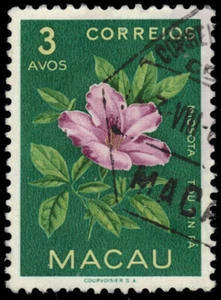 MACAU 373 - Wildflowers "Forget-me-not Flowers" (pa43022) - Picture 1 of 1